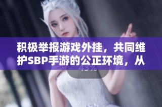 积极举报游戏外挂，共同维护SBP手游的公正环境，从每位玩家做起提升游戏体验