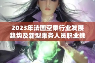 2023年法国空乘行业发展趋势及新型乘务人员职业挑战分析