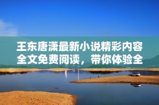 王东唐潇最新小说精彩内容全文免费阅读，带你体验全新故事之旅