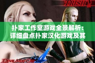 扑家工作室游戏全景解析：详细盘点扑家汉化游戏及其精彩合集