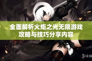 全面解析火炬之光无限游戏攻略与技巧分享内容