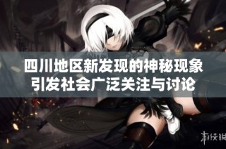 四川地区新发现的神秘现象引发社会广泛关注与讨论