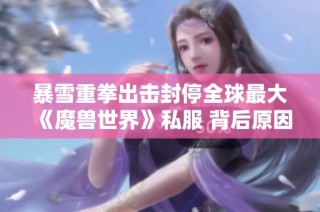 暴雪重拳出击封停全球最大《魔兽世界》私服 背后原因揭秘