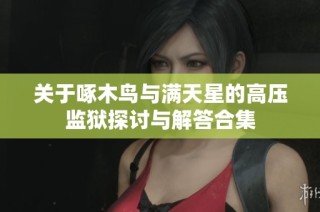 关于啄木鸟与满天星的高压监狱探讨与解答合集