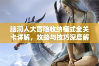 脑洞人大冒险收纳模式全关卡详解，攻略与技巧深度解析分享