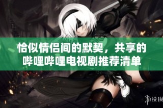 恰似情侣间的默契，共享的哔哩哔哩电视剧推荐清单
