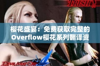 樱花盛宴：免费获取完整的Overflow樱花系列翻译资源指南