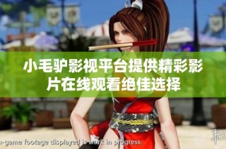 小毛驴影视平台提供精彩影片在线观看绝佳选择