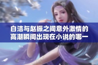 白洁与赵振之间意外激情的高潮瞬间出现在小说的哪一章节中