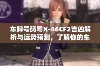 车牌号码粤X-46CF2吉凶解析与运势预测，了解你的车辆命运与风水影响