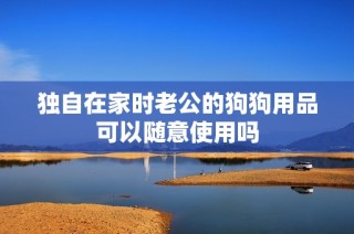 独自在家时老公的狗狗用品可以随意使用吗