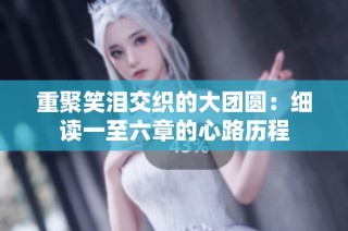 重聚笑泪交织的大团圆：细读一至六章的心路历程