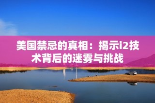 美国禁忌的真相：揭示i2技术背后的迷雾与挑战