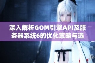深入解析GOM引擎API及服务器系统6的优化策略与选择方案