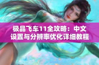 极品飞车11全攻略：中文设置与分辨率优化详细教程揭秘