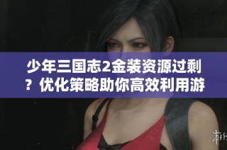 少年三国志2金装资源过剩？优化策略助你高效利用游戏资产