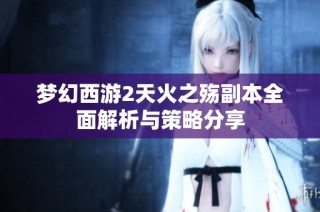 梦幻西游2天火之殇副本全面解析与策略分享