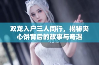 双龙入户三人同行，揭秘夹心饼背后的故事与奇遇