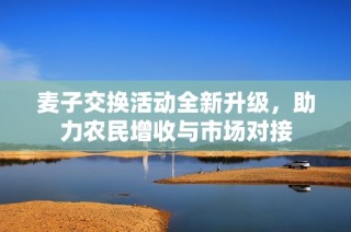 麦子交换活动全新升级，助力农民增收与市场对接