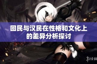 回民与汉民在性格和文化上的差异分析探讨