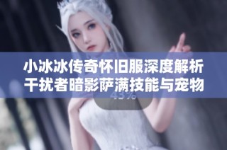 小冰冰传奇怀旧服深度解析干扰者暗影萨满技能与宠物进化之路
