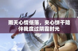雨天心情低落，夹心饼干陪伴我度过阴霾时光