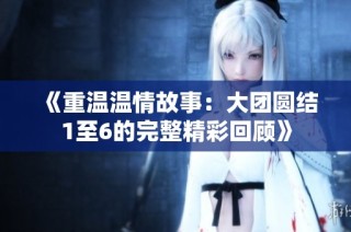 《重温温情故事：大团圆结1至6的完整精彩回顾》