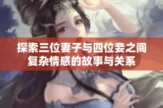 探索三位妻子与四位妾之间复杂情感的故事与关系