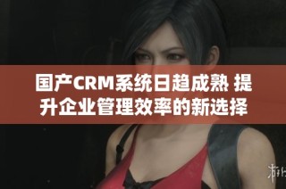 国产CRM系统日趋成熟 提升企业管理效率的新选择