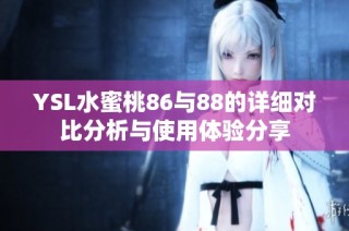 YSL水蜜桃86与88的详细对比分析与使用体验分享