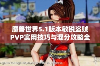 魔兽世界5.1版本敏锐盗贼PVP实用技巧与混分攻略全方位解析