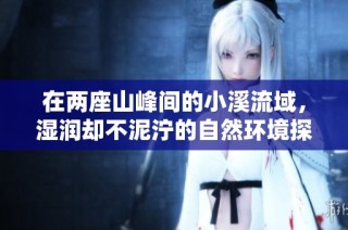 在两座山峰间的小溪流域，湿润却不泥泞的自然环境探秘