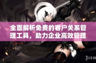 全面解析免费的客户关系管理工具，助力企业高效管理客户关系