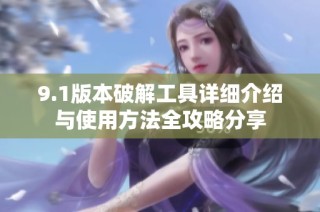 9.1版本破解工具详细介绍与使用方法全攻略分享