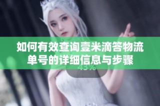 如何有效查询壹米滴答物流单号的详细信息与步骤
