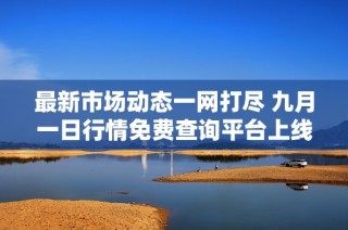 最新市场动态一网打尽 九月一日行情免费查询平台上线
