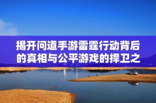 揭开问道手游雷霆行动背后的真相与公平游戏的捍卫之路