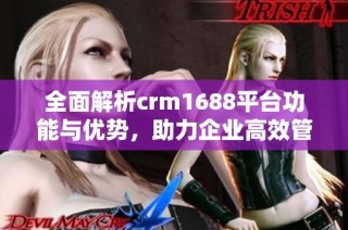 全面解析crm1688平台功能与优势，助力企业高效管理客户关系