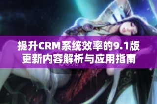 提升CRM系统效率的9.1版更新内容解析与应用指南