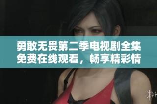 勇敢无畏第二季电视剧全集免费在线观看，畅享精彩情节与感人故事