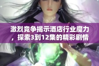 激烈竞争揭示酒店行业魔力，探索3到12集的精彩剧情与内幕揭秘