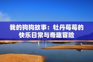我的狗狗故事：牡丹莓莓的快乐日常与奇趣冒险