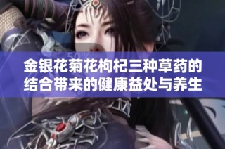 金银花菊花枸杞三种草药的结合带来的健康益处与养生效果