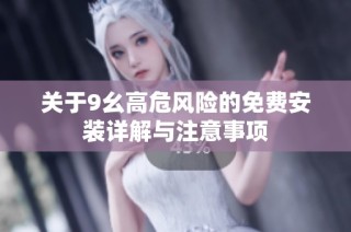 关于9幺高危风险的免费安装详解与注意事项