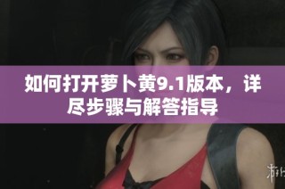 如何打开萝卜黄9.1版本，详尽步骤与解答指导