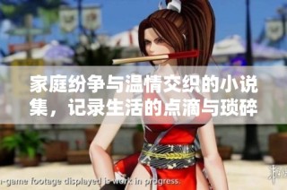家庭纷争与温情交织的小说集，记录生活的点滴与琐碎故事