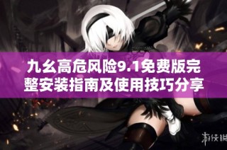 九幺高危风险9.1免费版完整安装指南及使用技巧分享
