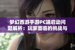 梦幻西游手游PC端启动问题解析：玩家面临的挑战与解决对策