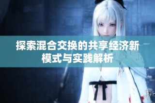 探索混合交换的共享经济新模式与实践解析