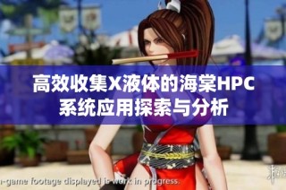 高效收集X液体的海棠HPC系统应用探索与分析